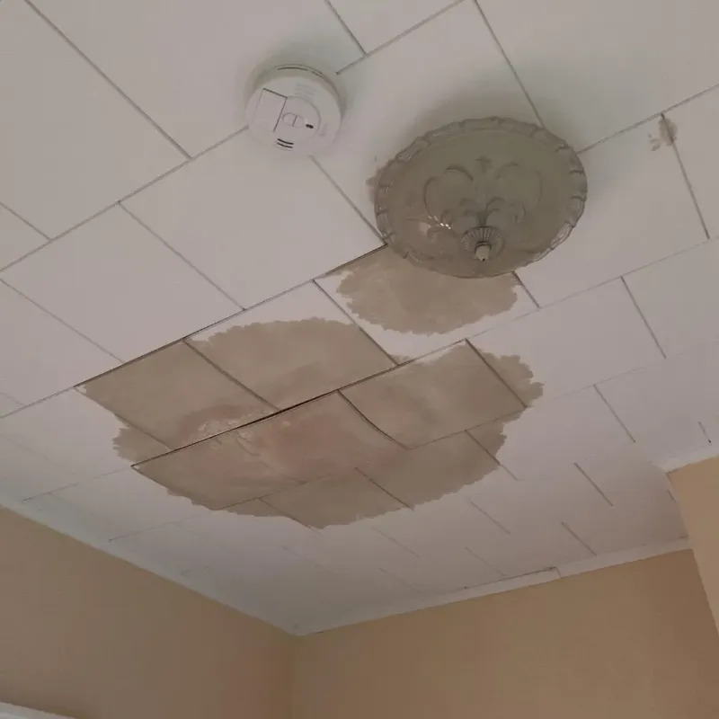 Ceiling Water Damage Repair in South Taft, CA