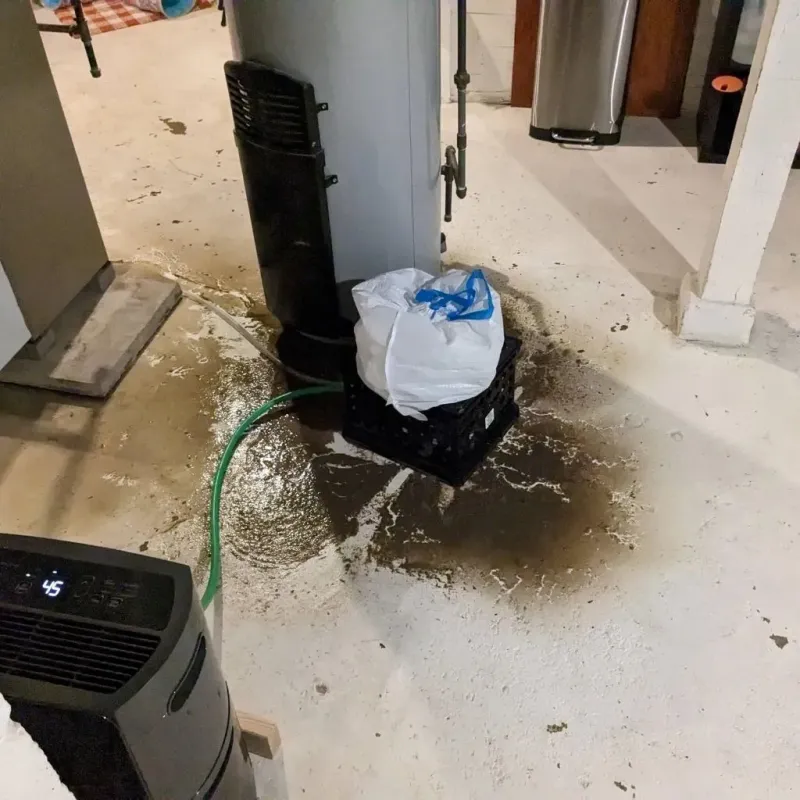 Sewage Backup Cleanup Service in South Taft, CA